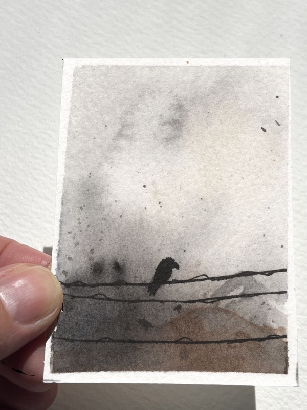 ACEO Original Watercolor Ink Crow Raven Bird on Wire Moody Atmospheric Dark Land gallery