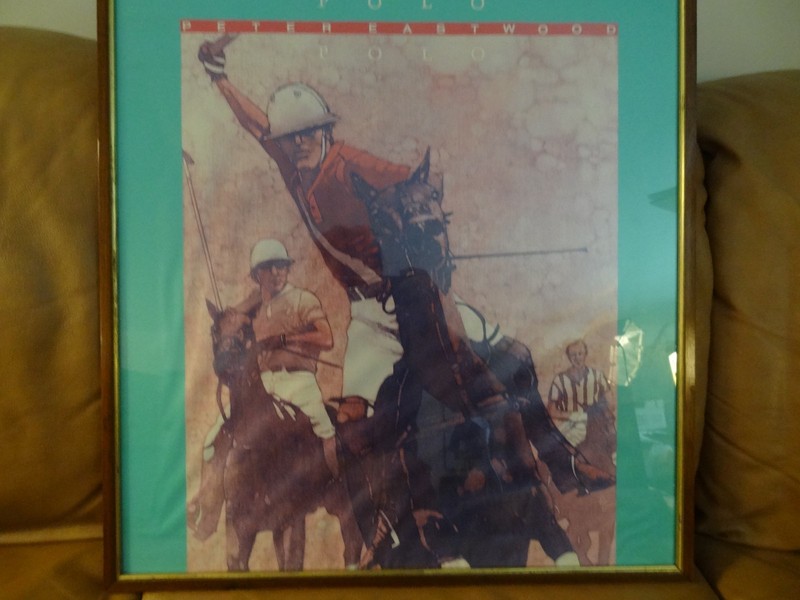 Polo Match Peter Eastwood Framed Poster Glass Covered gallery
