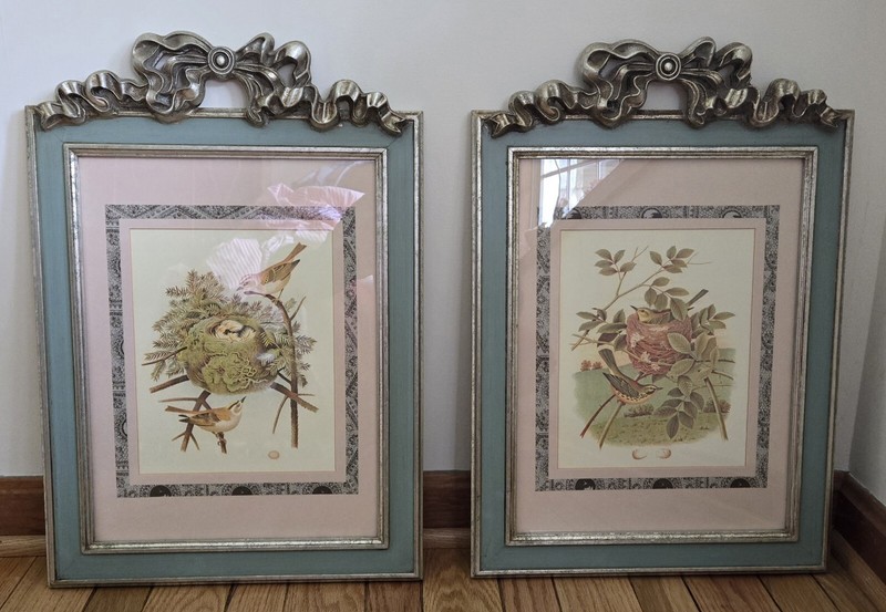 Beautiful Pair Of Handcrafted Frames With Audubon Bird Prints (22×15″)