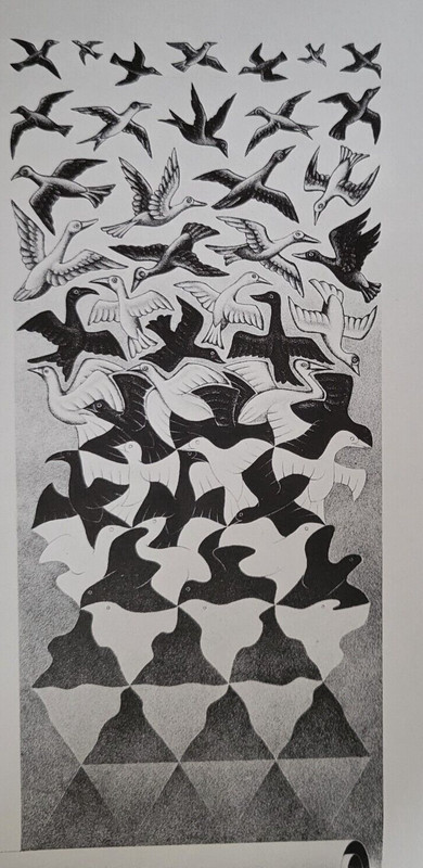 LIBERATION (Scroll Unrolling Releasing Evolving Birds) M C Escher 11×7.75″ Print