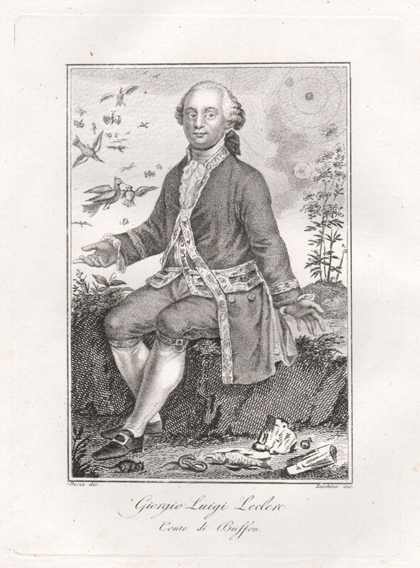 Georges Louis Leclerc, Comte de Buffon