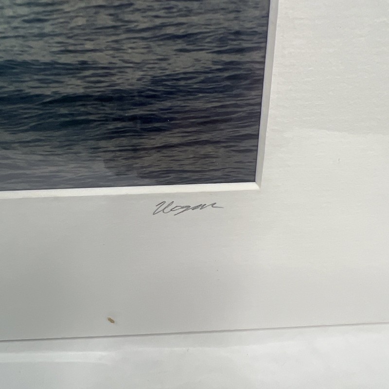 William Hogan Colored Seascape “12X16” Photo Of Whale Head Out W/ Matting gallery