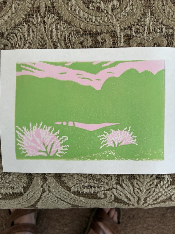 5" x 7" Reduction Linocut Print 8 Color Unframed “pond” #5/20 DSV gallery
