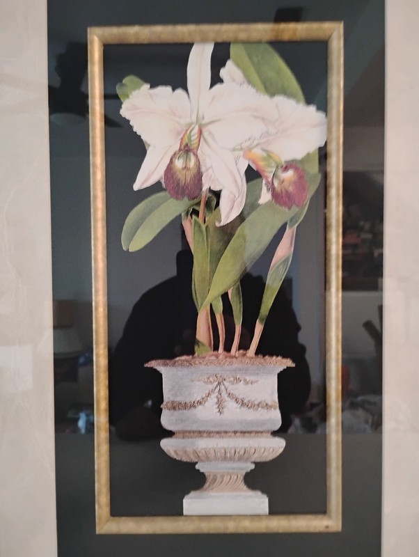 Beautiful Framed Brush Paint Original Print Titled » Orchids In Silver II»