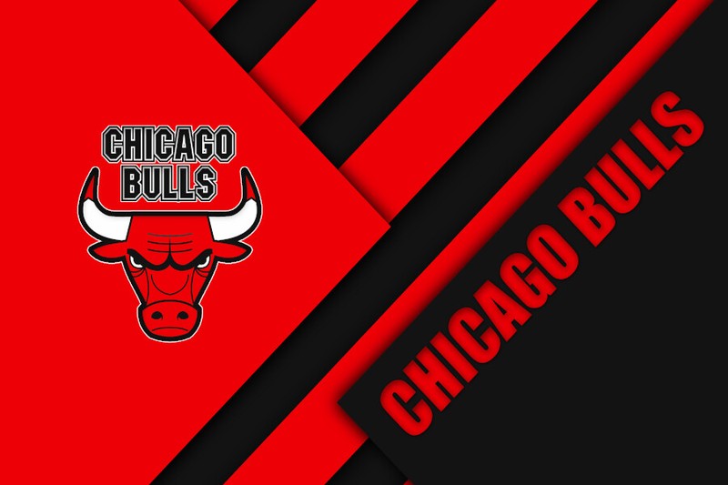 Chicago Bulls NBA Team Logo Basketball Wall Art Print Gift For Fan POSTER CANVAS