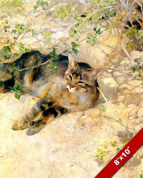 HOUSE CAT RESTING IN THE SUN SUNNING ANIMAL PAINTING PET ART REAL CANVAS PRINT