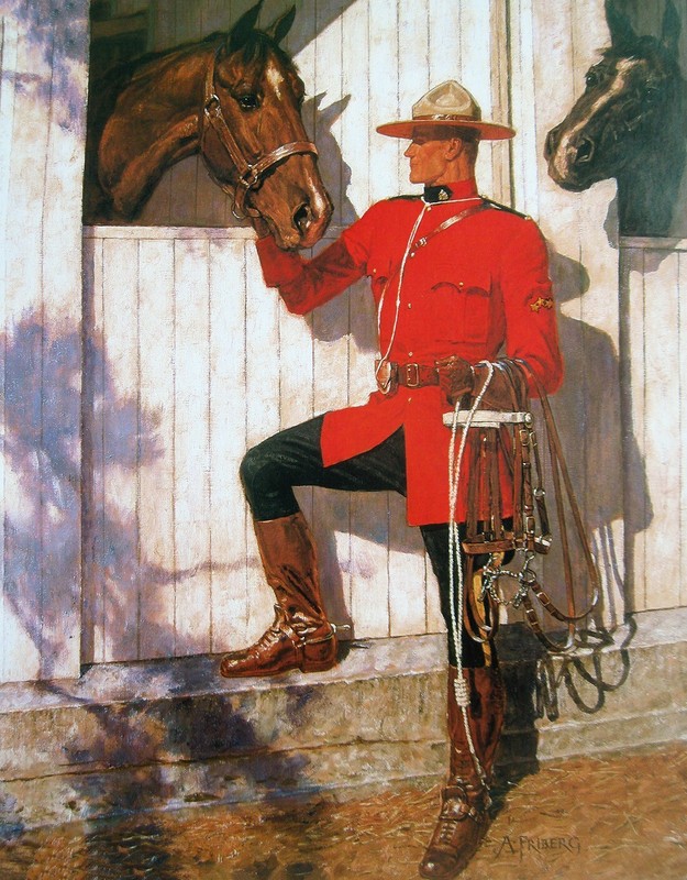 Canadian Mountie Horses at Stable