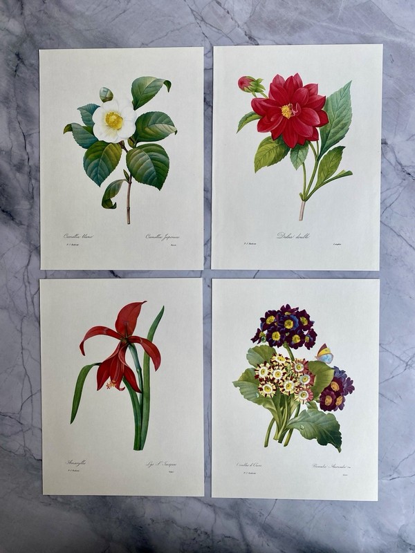Original vintage botanical / floral bookplates 1964 Medium SIZE 9.5 x 7.5 Inch