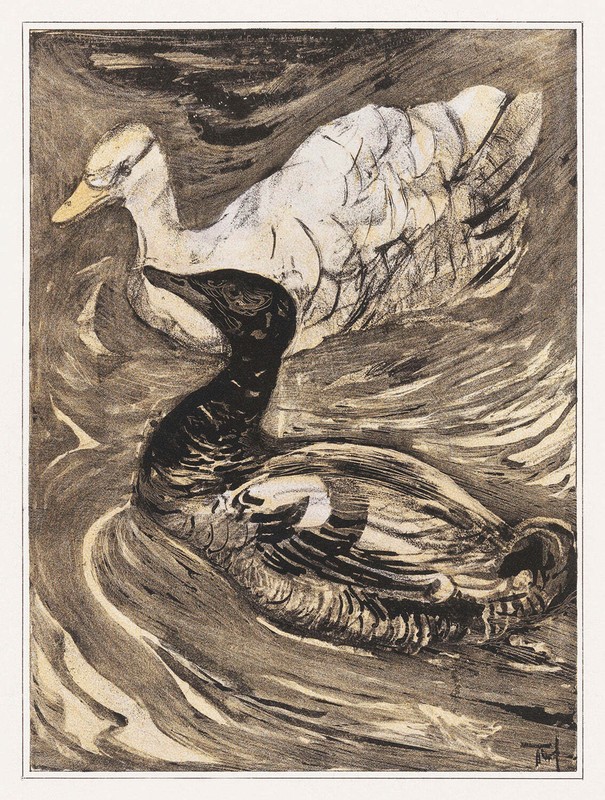 Twee zwemmende eenden by Theo van Hoytema Art Print