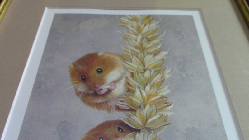 Unknown Artist Harvest Mouse 11/250 26.5cm by 35.5cm Framed limited edition gallery