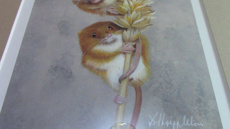Unknown Artist Harvest Mouse 11/250 26.5cm by 35.5cm Framed limited edition gallery