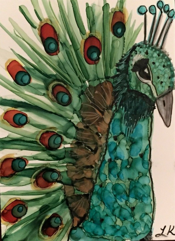 ACEO Art Print pretty peacock bird by Lynne Kohler 2.5×3.5″