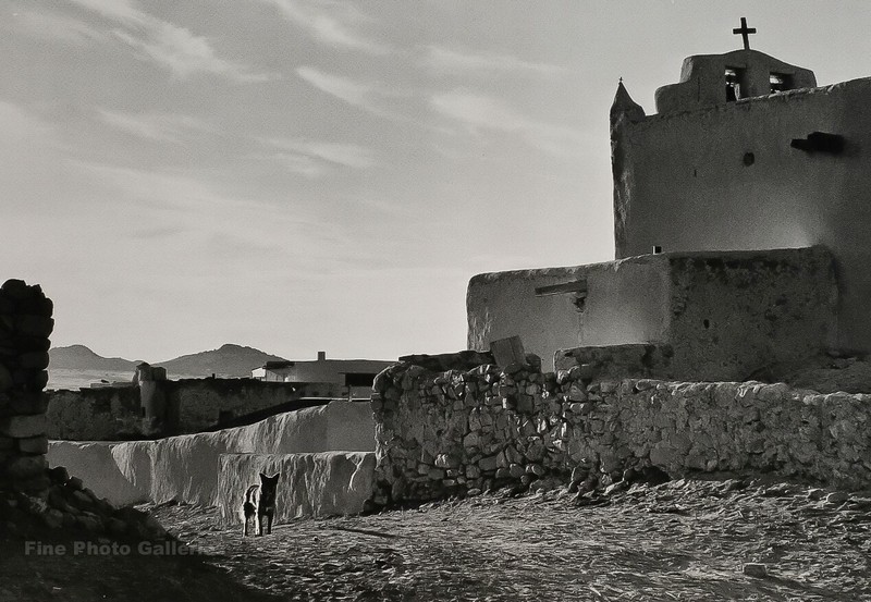 1928/72 Vintage ANSEL ADAMS New Mexico Laguna Pueblo Church Dog Photo On 11×14