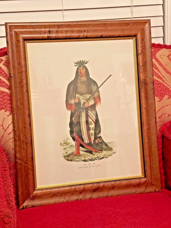 WA-NA-TA GRAND CHIEF OF THE SIOUX Professionally Framed Native American Print