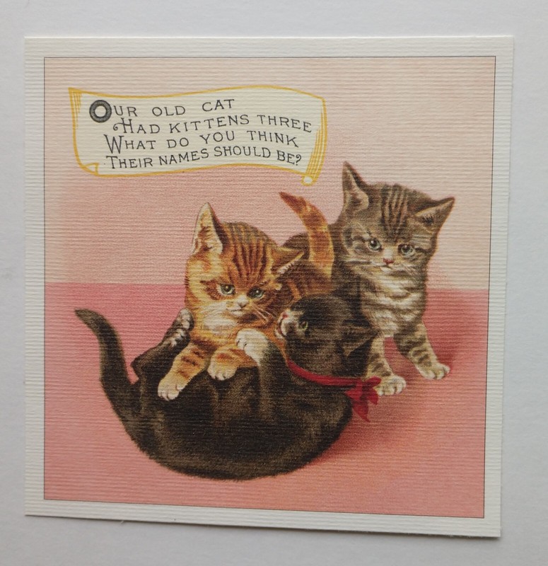 Cat Prints Victorian Reproductions 12 pc Set Asst Sizes 4.50" to 5.25" gallery