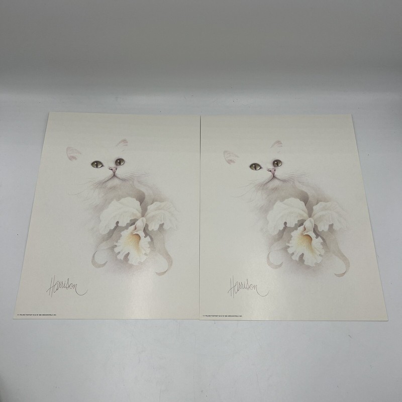 Bob Harrison Lithograph White Cat Prints (7) with Flowers 9×12 Vintage 1984 1982