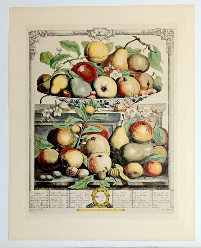 ‘Fruits of the Month’ (March) Fine Art Print Furer 1732 of Baroque Still Life