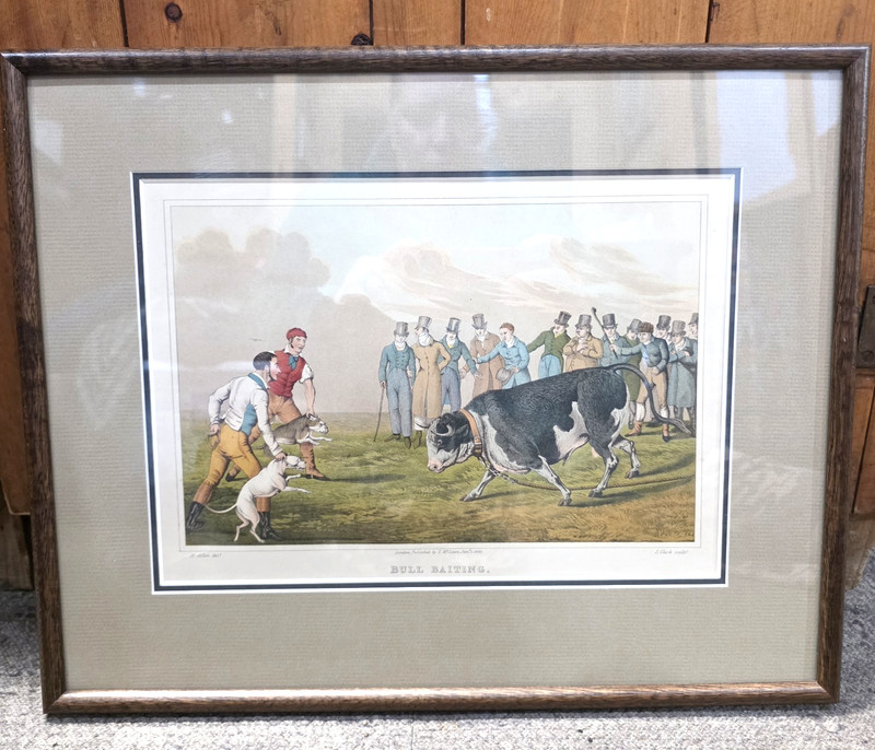Antique Aquatint Print "Bull-Baiting" Alken 1820 British Bull Terrier Framed Mat