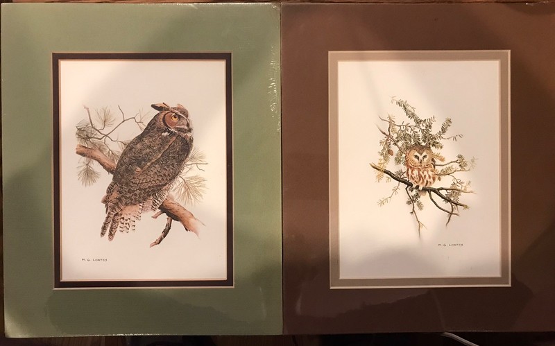 2- 1970’s MG Martin Glen Loates Art Owl Print Matted Total Size 10″ x 12″ New