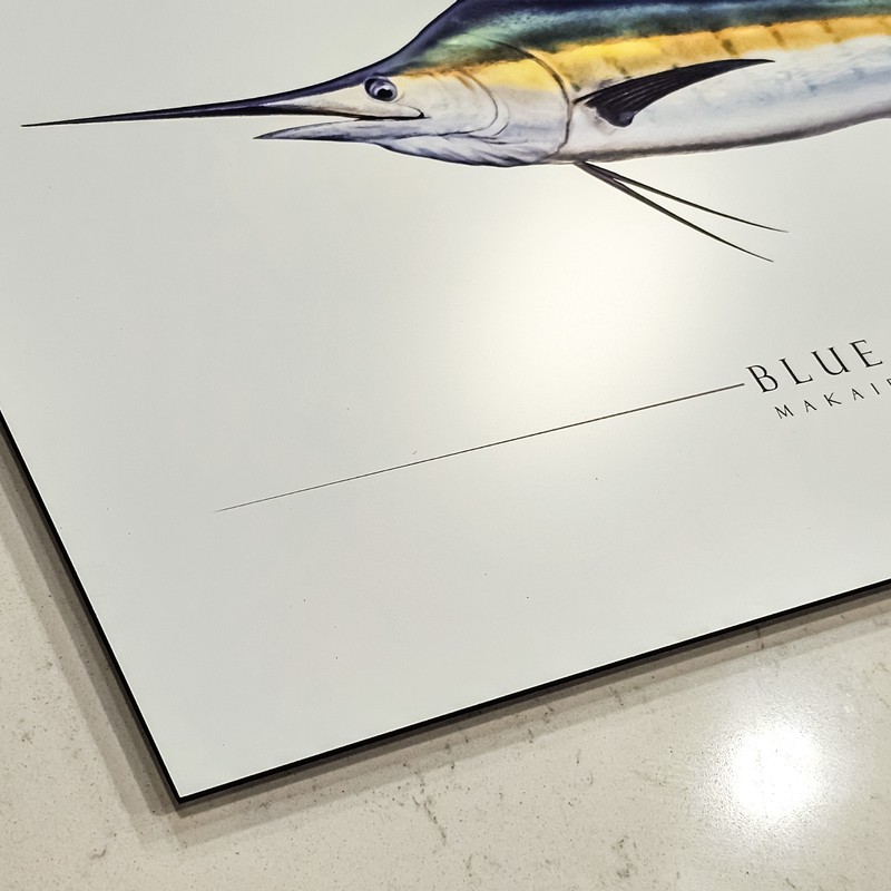 Great White Shark - Side View Aluminum Art Print - by Artist Craig Tinder gallery