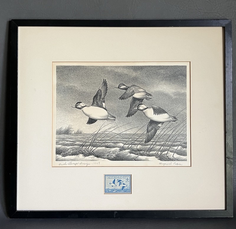 1948 Signed Original Lithograph Etching Buffleheads Duck Stamp Maynard Reece