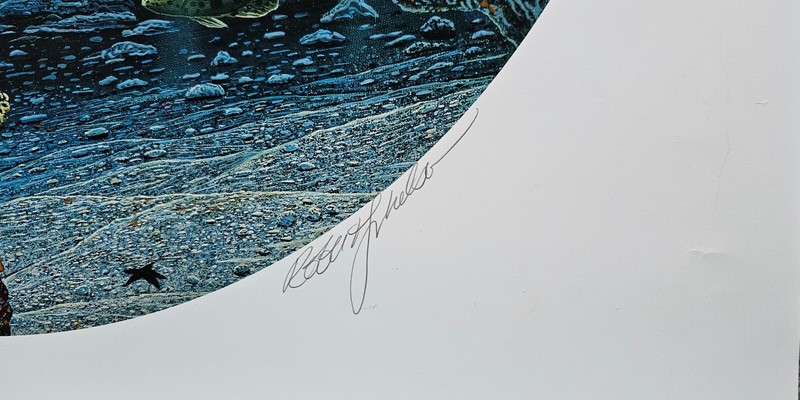 Robert Lyn Serenity of Waipio SIGNED Mixed media Sea turtle 261/400 Hawaii art gallery