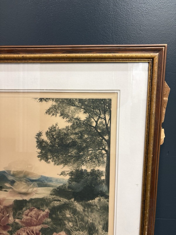 G.H. Rothe "Rosescape"Signed Color Mezzotint Art Print–Rare Artist's Proof 8/15 gallery