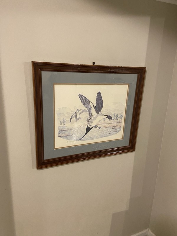 Gene Murray Duck Flight, Hand Signed #359 limited COA art print Painting 27x23 gallery