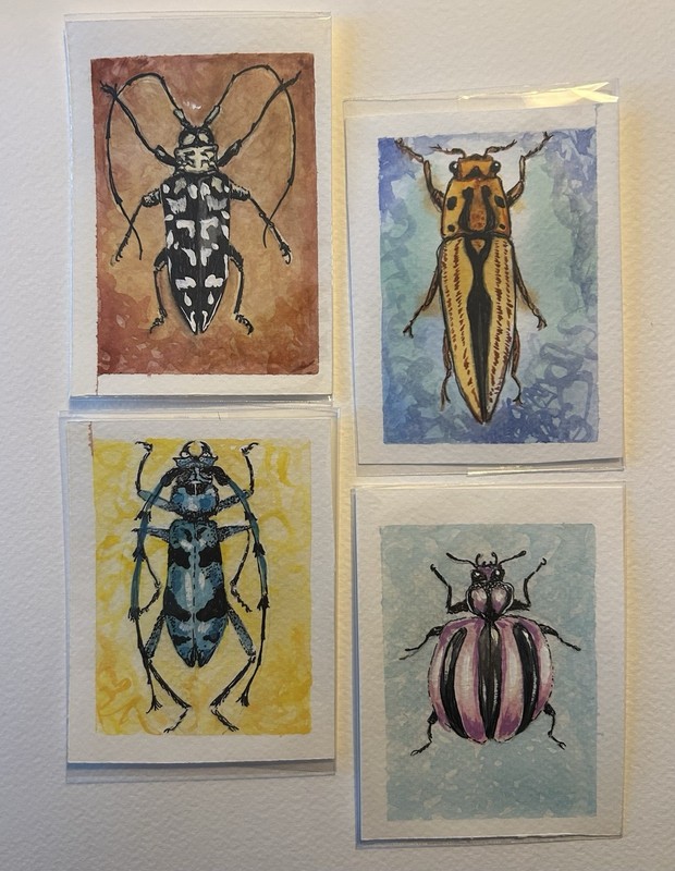 ACEO Set of 4 Illustrative Beetle Art Prints, Insects, Animals,