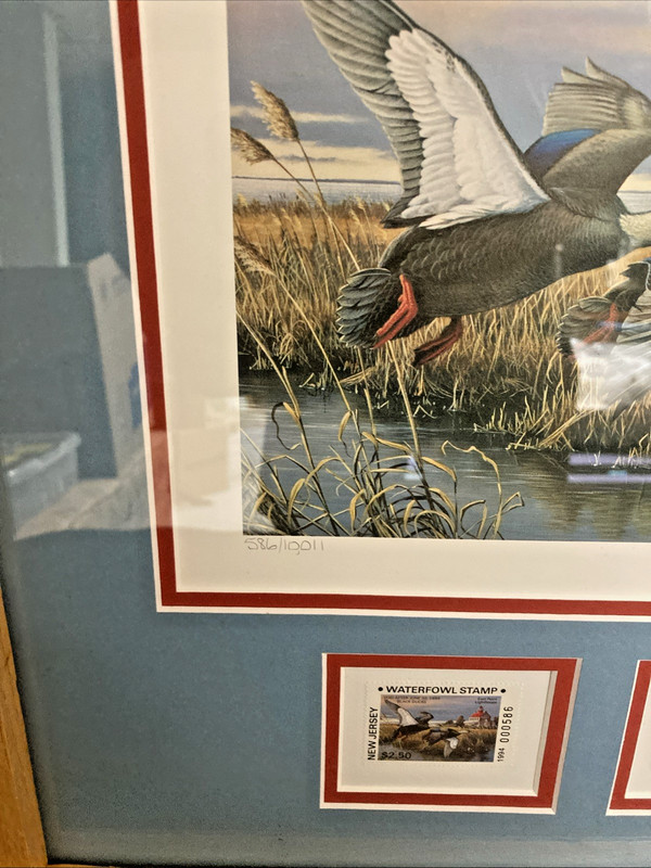 Wilhelm Goebel Black Ducks 1994 New Jersey Waterfowl Series framed print #586 gallery