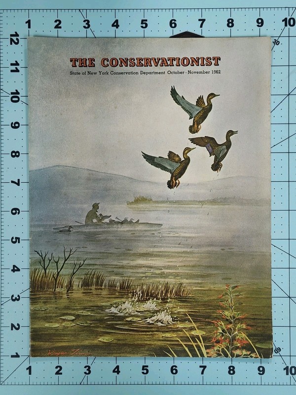 1962 Wayne Trimm NYS Conservationist Magazine Cover Art Ducks Northern Pike
