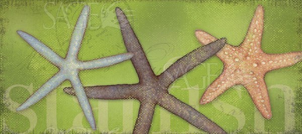 Starfish (Green) Stephanie Marrott Art Print 18×8