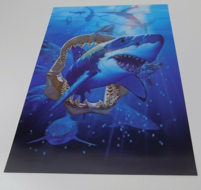 2-image, Lenticular (3D) Lentograph Shark Print 13 3/4″ X 9 3/4″, excellent