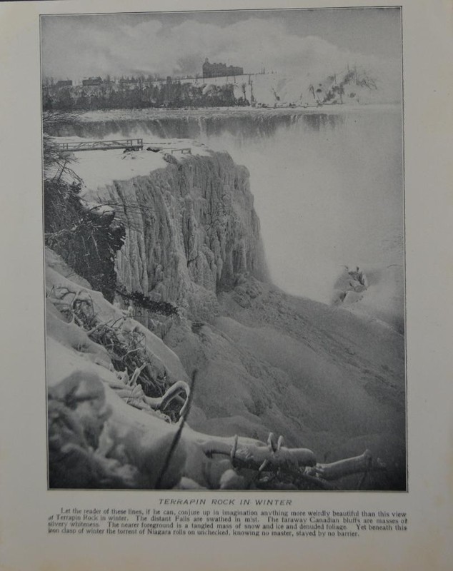 Antique Niagara Falls New York Art Print Terrapin Rock Original B&W 1910