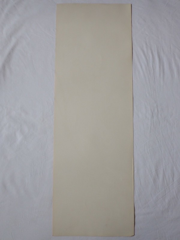 VINTAGE RF HARNETT ROBIN BIRDS LITHOGRAPH WALL ART PRINT KAPLAN CO 36" x 12" gallery