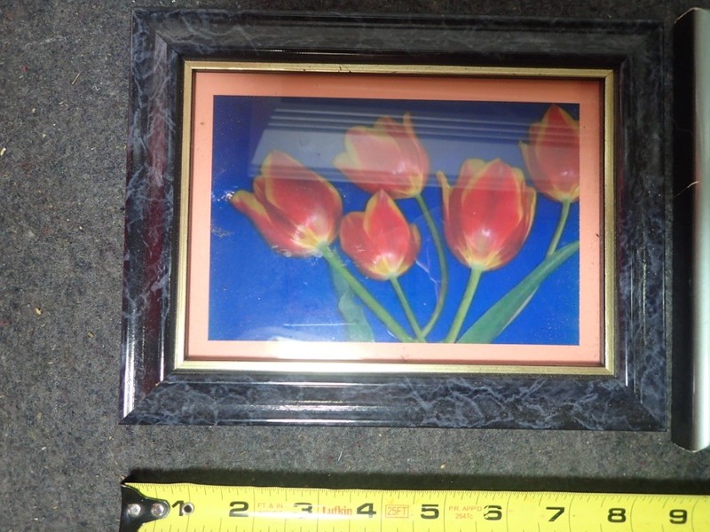 Variety Lot (3) Tulips Flower Photo Prints Wood Frames Contemporary Wall Decor gallery