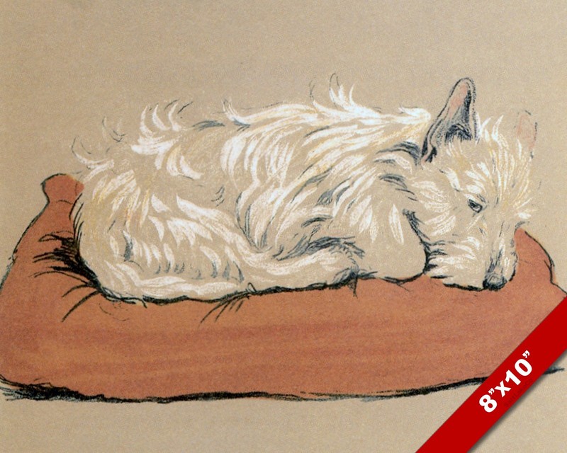 SLEEPING TERRIER PET PUPPY DOG ART CECIL ALDIN PAINTING PRINT ON REAL CANVAS