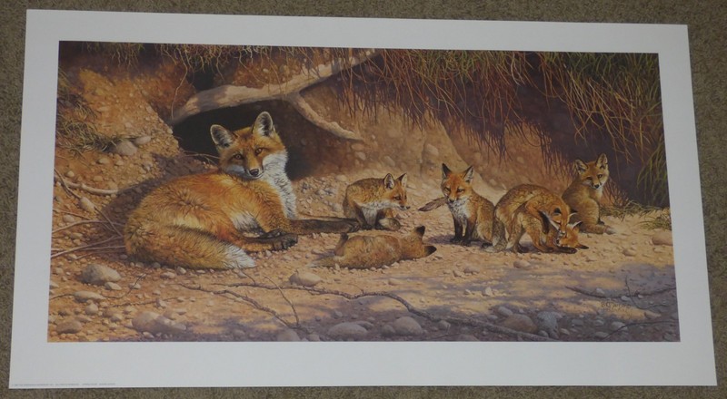 Bonnie Marris Spring Fever Red Fox Family Signed Lithograph Art Print #304/1000