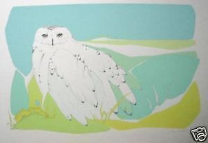 Snowy Owl by Peter Parnall