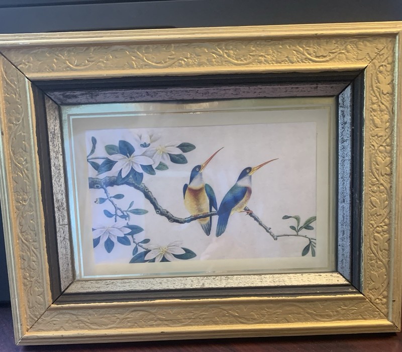 Vintage George Nathan Framed Bird Print # 8947 Providence RI 4x6