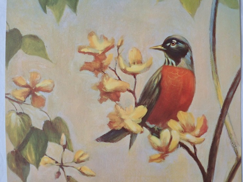 VINTAGE RF HARNETT ROBIN BIRDS LITHOGRAPH WALL ART PRINT KAPLAN CO 36" x 12" gallery