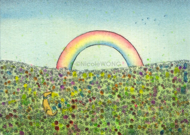 ACEO PRINT – RAINBOW BRIDGE – dogs pets animals landscape meadow art artist