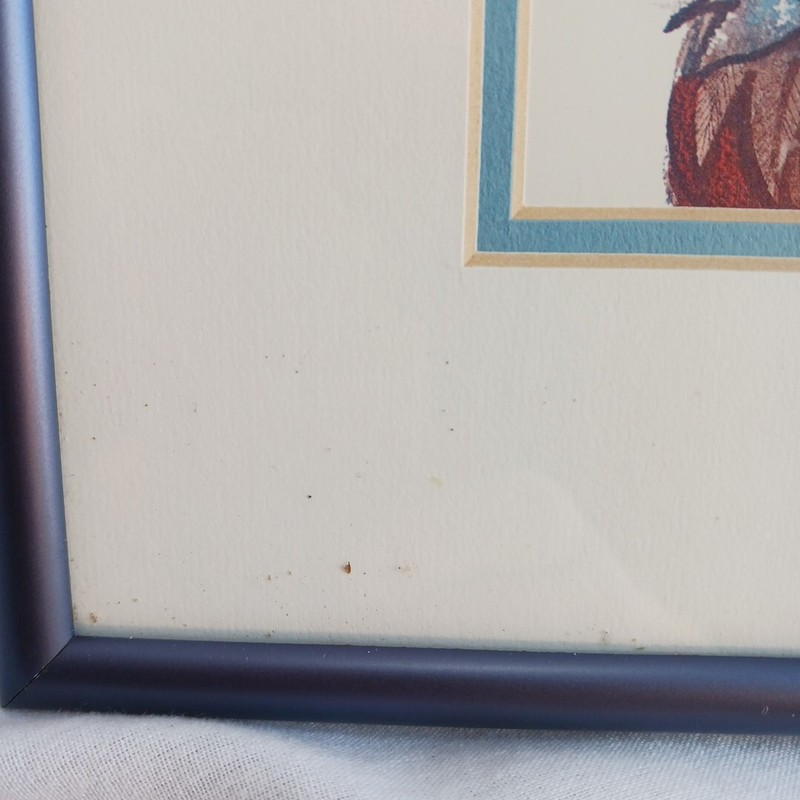 DON NEDOBECK art Prints Rooster, Roost MILWAUKEE WISCONSIN VTG NEW WRINKLE PRESS gallery
