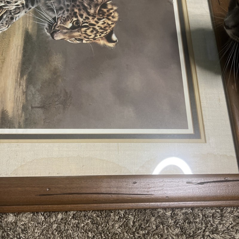 Charles Frace FRAMED African Leopard Cub~Signed & Numbered size 31 1/2 “25 1/2” gallery