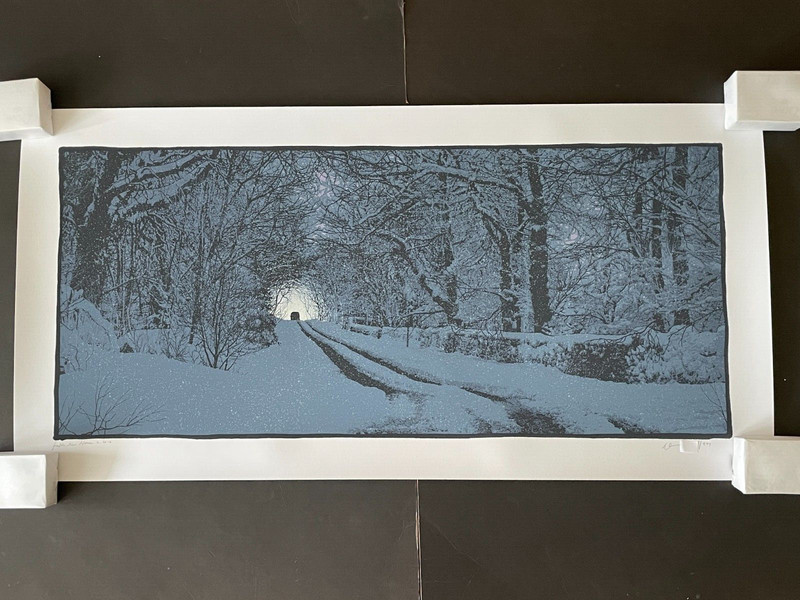 DAN MCCARTHY – Take Me Home RARE SIGNED large 7 colour art screen print