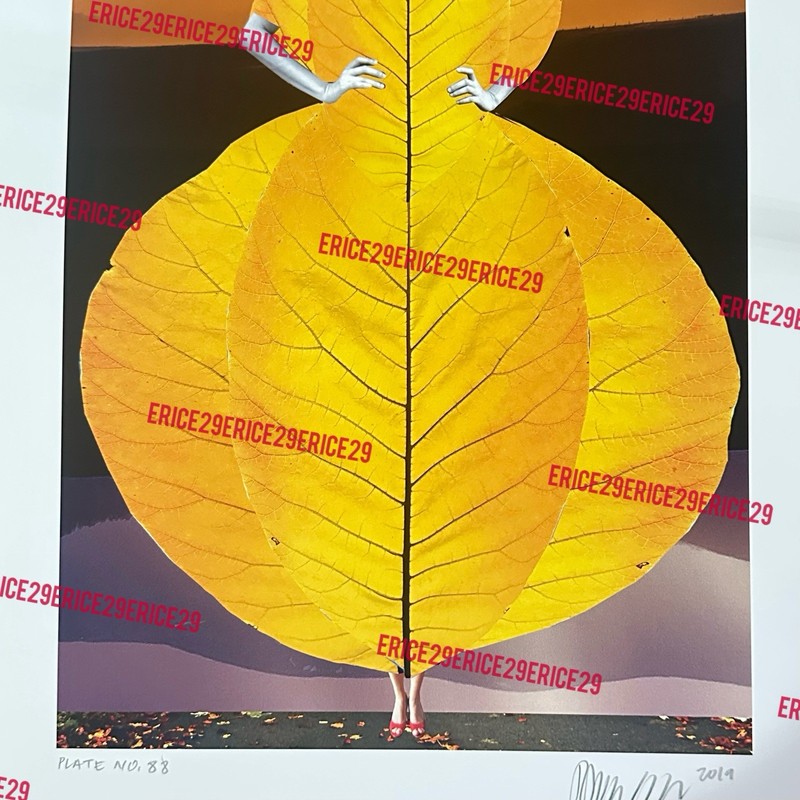 Johanna Goodman Signed 2019 Plate No. 88 Giclée Print “Imagery Of Beings” 13x19 gallery