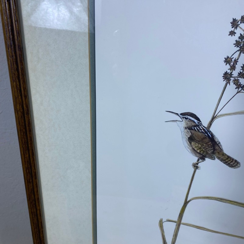 Brenda Carter Marsh Wren & Sedge Hand-Colored Print 43/195 Framed 24x27.5 Bird gallery