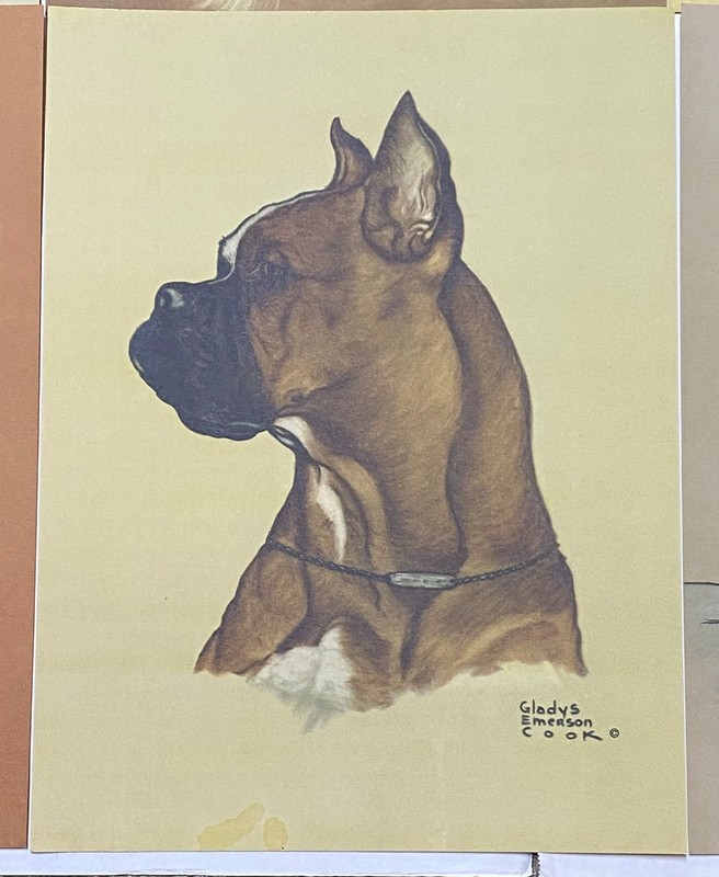 Vintage 40's Pure-Bred Dog Favorites Gladys Emerson Cook 8 Print Set Portfolio gallery