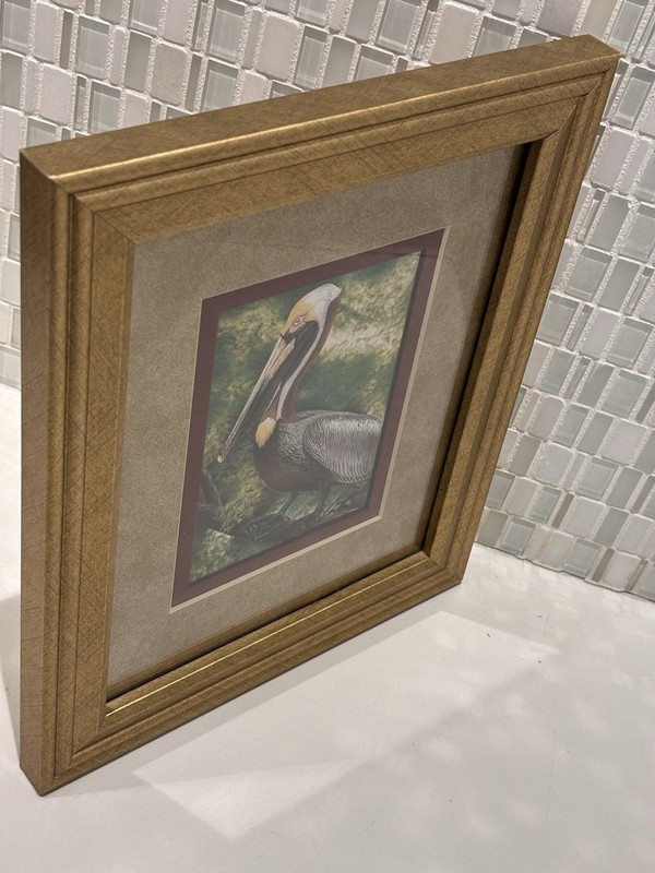 Original Signed "Brown Pelican" Fine Art Print, John Costin, Rare Decor Gifts gallery