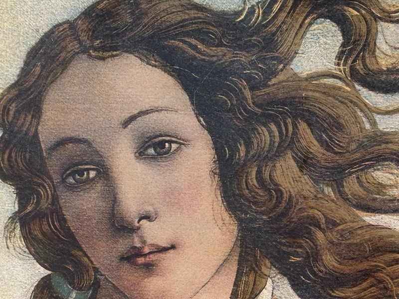 Sandro Botticelli The Birth of Venus Renaissance Painting Fine Art Print Italy gallery